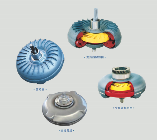 W020250703665106766479