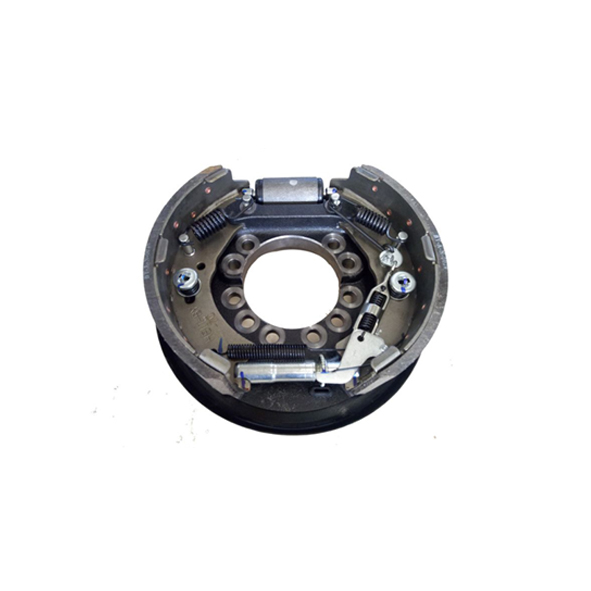 W020210118496005093065