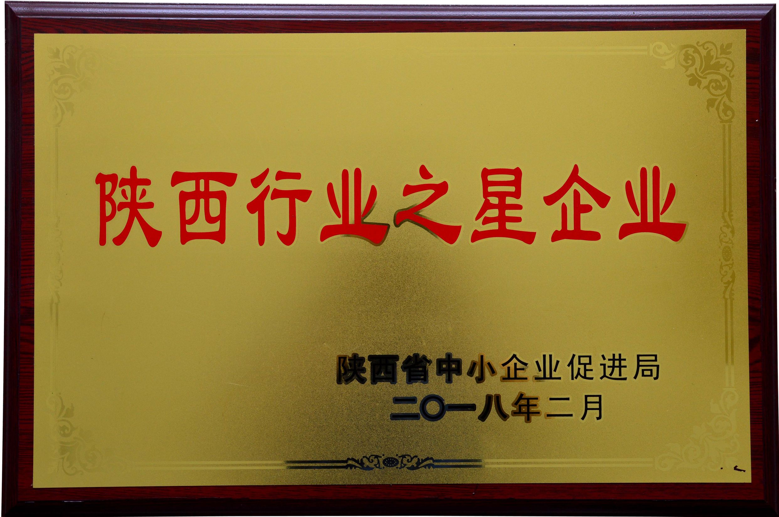 W020210119565431708212