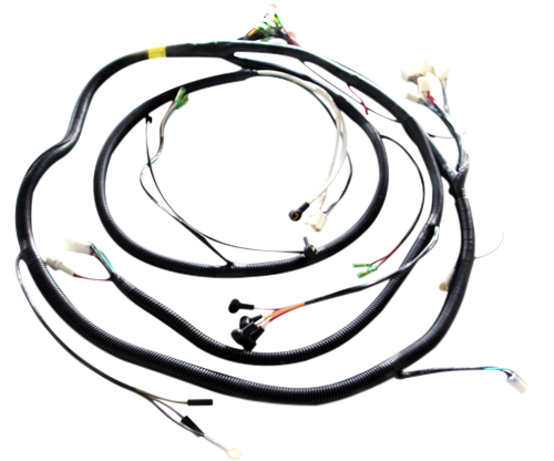 W020240830488190820011 W020240830488190820011