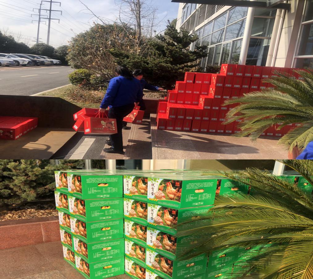 W020221110456144228873