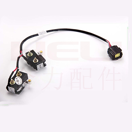 W020210126359255203861