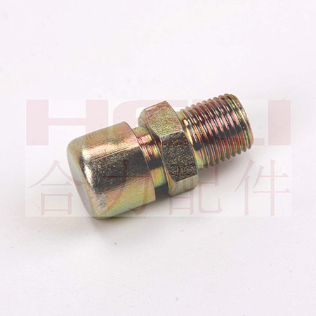 W020210119624817220582